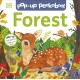 Pop-Up Peekaboo! Forest: Pop-Up Surprise Under Every Flap!