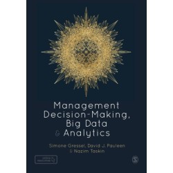 Management Decision-Making, Big Data and Analytics