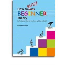 How To Blitz! Beginner Theory