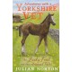 Adventures with a Yorkshire Vet: The Lucky Foal and Other Animal Tales: The perfect Christmas present for readers age 8+ who love animals great and small