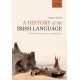 A History of the Irish Language: From the Norman Invasion to Independence