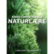 Naturlære