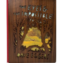 The Eyes and the Impossible