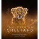 Remembering Cheetahs