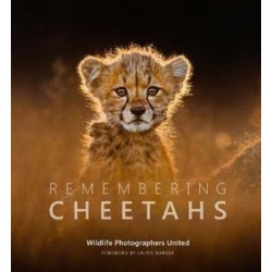 Remembering Cheetahs