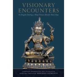 Visionary Encounters: The Dzogchen Teachings of Bonpo Treasure-Revealer Shense Lhaje