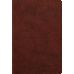 ESV Student Study Bible