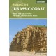 Walking the Jurassic Coast: Dorset and East Devon: The walks, the rocks, the fossils