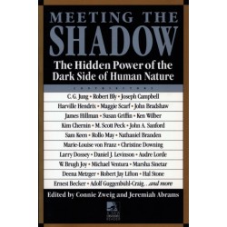 Meeting the Shadow: The Hidden Power of the Dark Side of Human Nature