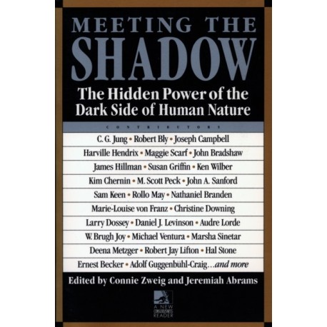 Meeting the Shadow: The Hidden Power of the Dark Side of Human Nature