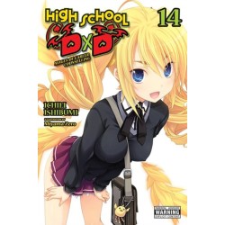 High School DxD, Vol. 14 (light novel)