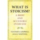 What Is Stoicism?: A Brief and Accessible Overview