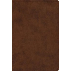 ESV Study Bible, Personal Size