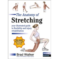 The Anatomy of Stretching: Your Illustrated Guide to Flexibility and Injury Rehabilitation