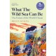 What the Wild Sea Can Be: Shortlisted for the Women's Prize for Nonfiction