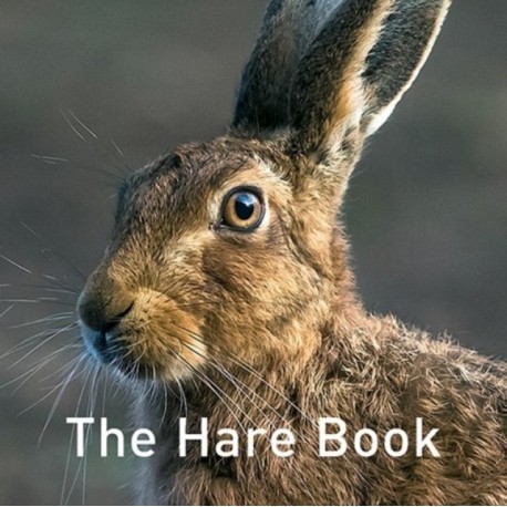 The Nature Book Series: The Hare Book