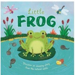 Little Frog