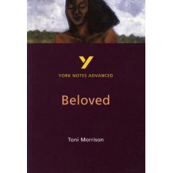 Toni Morrison 'Beloved': everything you need to catch up, study and prepare for 2025 assessments and 2026 exams: everything you need to catch up, study and prepare for 2021 assessments and 2022 exams
