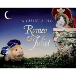 A Guinea Pig Romeo & Juliet