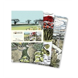 Angela Harding: Landscapes Set of 3 Mini Notebooks