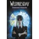Wednesday: A Novelisation of Season One