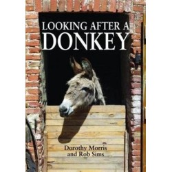 Looking After a Donkey
