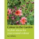 Colour in the Garden: Stylish ideas for year-round colour
