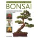 Bonsai, Complete Practical Book of: The essential guide to the selection, cultivation and presentation of miniature trees and shrubs, with over 800 photographs