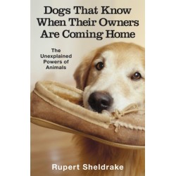 Dogs That Know When Their Owners Are Coming Home: And Other Unexplained Powers of Animals