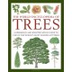 Trees, The World Encyclopedia of: A reference and identification guide to 1300 of the world's most significant trees