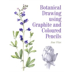 Botanical Drawing using Graphite and Coloured Pencils
