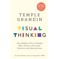 The Visual Thinking: The Hidden Gifts of People Who Think in Pictures, Patterns and Abstractions