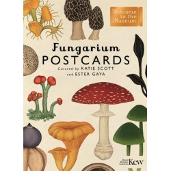 Fungarium Postcards