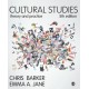 Cultural Studies: Theory and Practice
