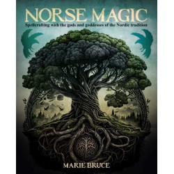 Norse Magic: Spellcrafting with the gods and goddesses of the Nordic tradition