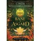 The Runestone Saga: Bane of Asgard