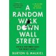 A Random Walk Down Wall Street: The Best Investment Guide That Money Can Buy