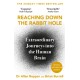 Reaching Down the Rabbit Hole: Extraordinary Journeys into the Human Brain