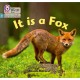 It is a Fox: Phase 3 Set 1