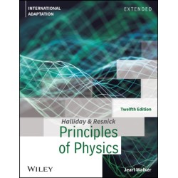 Principles of Physics: Extended, International Adaptation