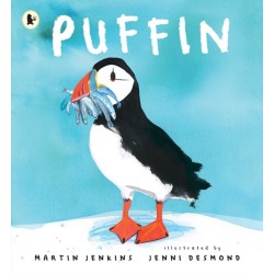 Puffin