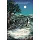 Under the Stars: A Journey Into Light