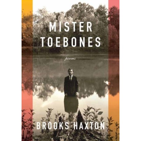 Mister Toebones: Poems