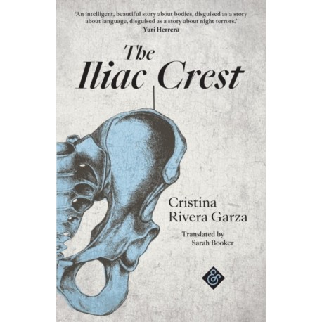 The Iliac Crest