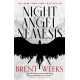 Night Angel Nemesis