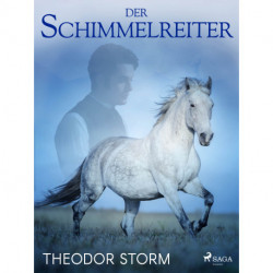 Der Schimmelreiter