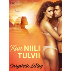 Kun Niili tulvii - eroottinen novelli