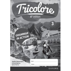 Tricolore 6e edition: Grammar in Action Workbook 3 (pack of 8)