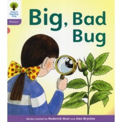 Oxford Reading Tree: Level 1+: Floppy's Phonics Fiction: Big, Bad Bug!