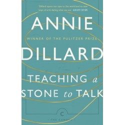 Teaching a Stone to Talk: Expeditions and Encounters